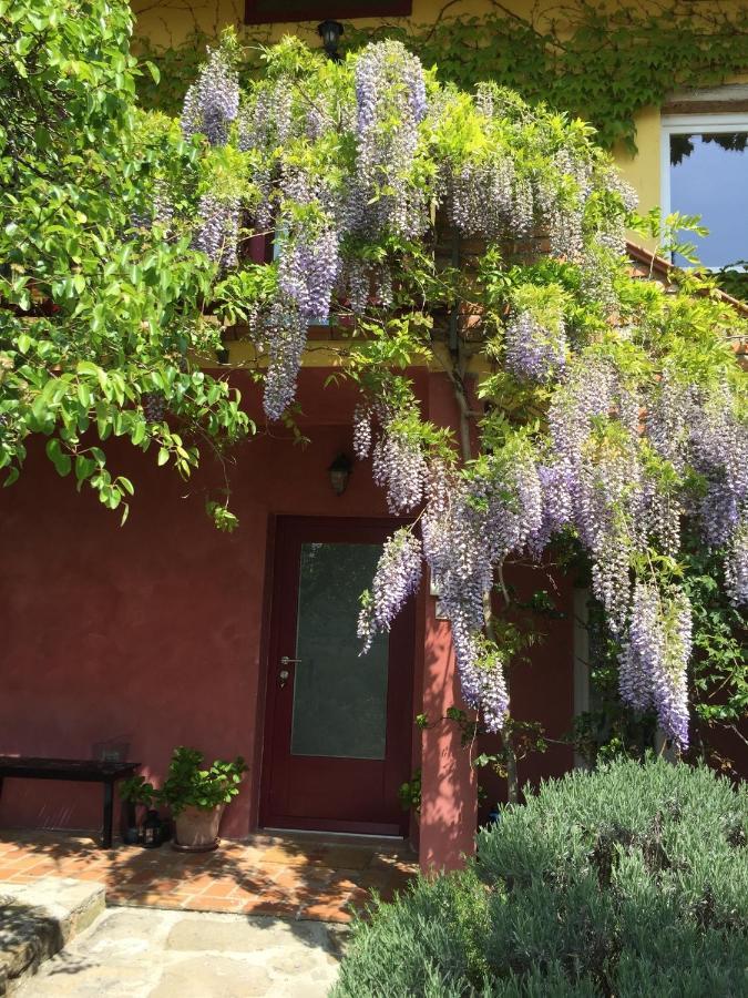 Apartma Vita Dobrovo Esterno foto