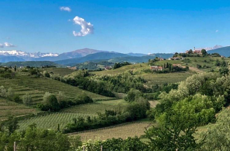 Apartma Vita Dobrovo Esterno foto