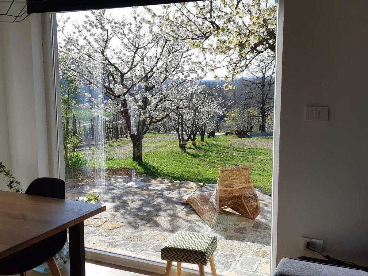 Apartma Vita Dobrovo Esterno foto