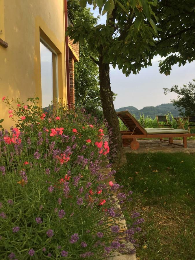 Apartma Vita Dobrovo Esterno foto