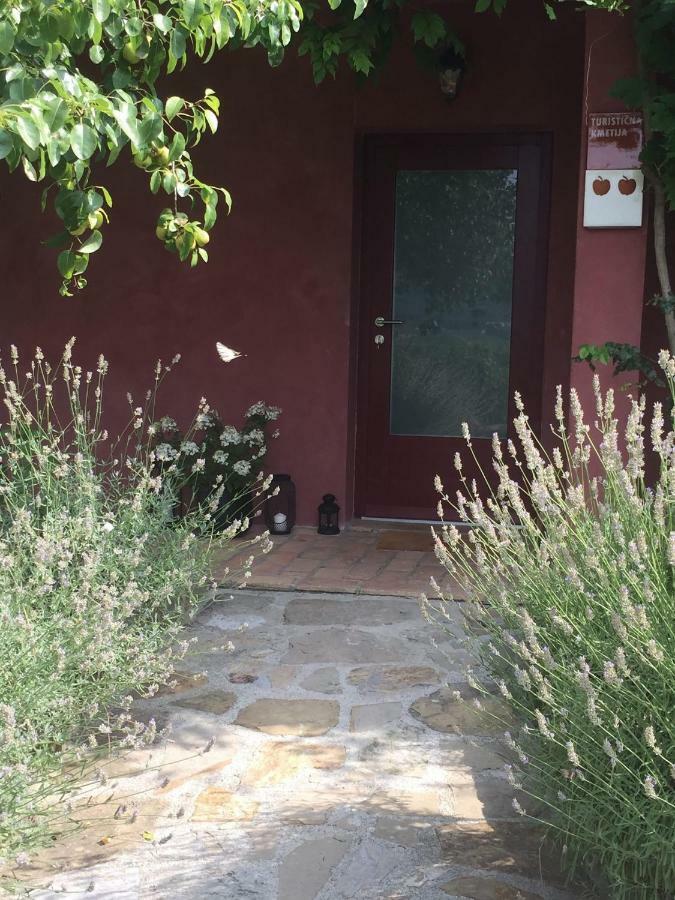 Apartma Vita Dobrovo Esterno foto