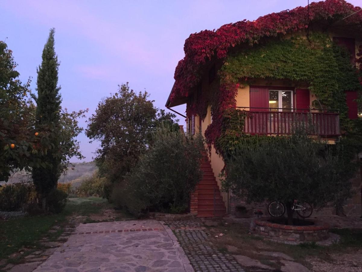 Apartma Vita Dobrovo Esterno foto
